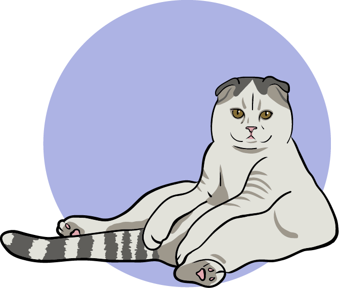 Nel chill mood: un gatto seduto e svogliato