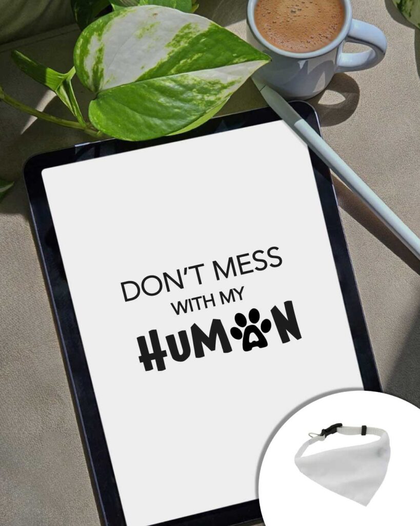 Grafica Don't mess with my human