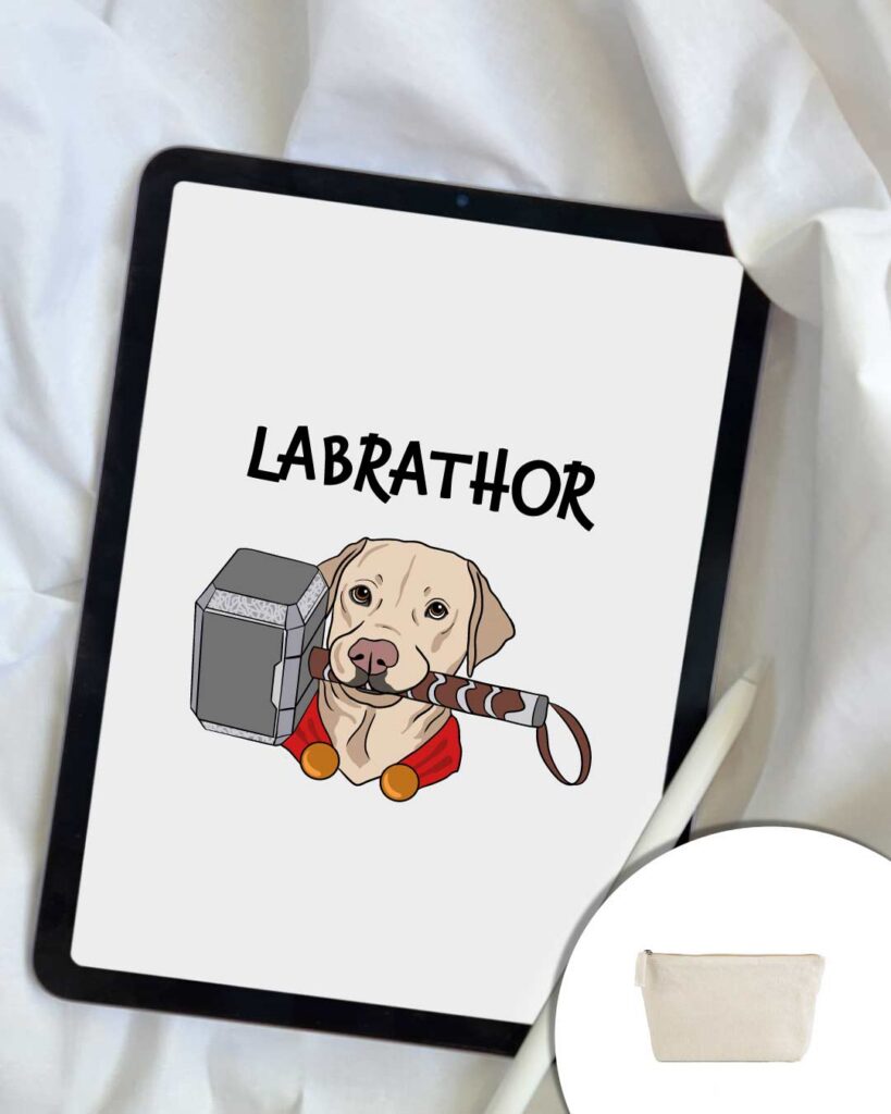 pochette Labrathor