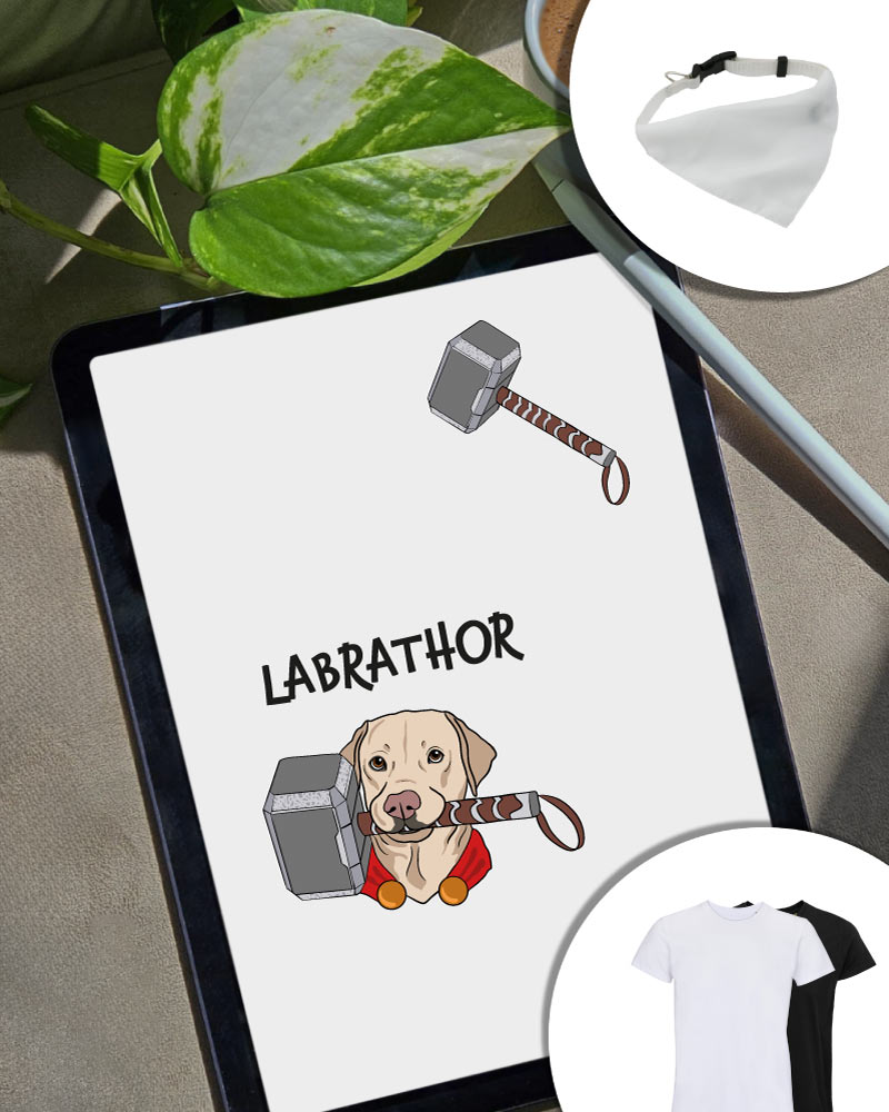 Combo Labrathor - T-shirt e bandana cane