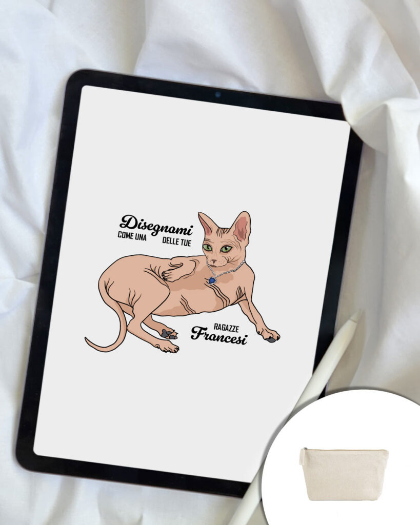 Pochette Disegnami