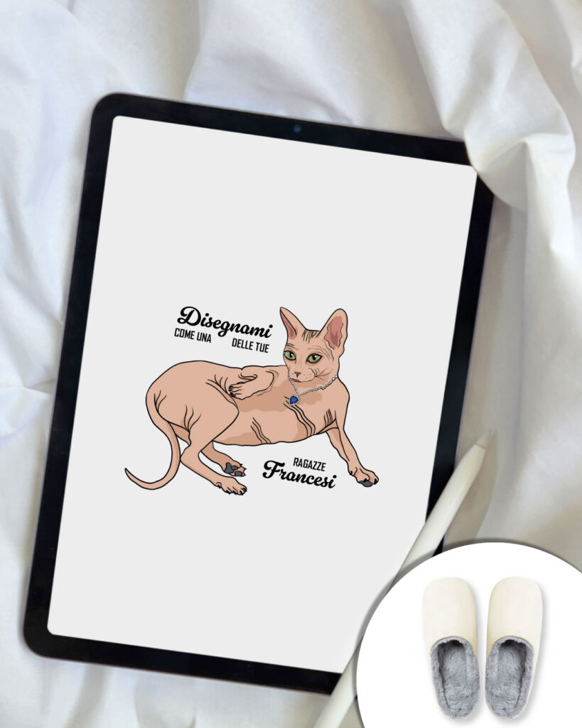 Pantofole Disegnami Gatto Sphynx