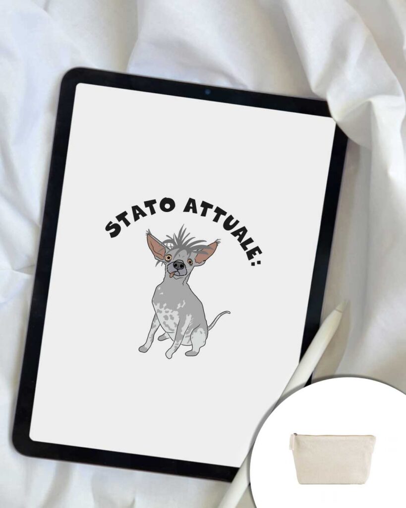 Pochette Stato attuale