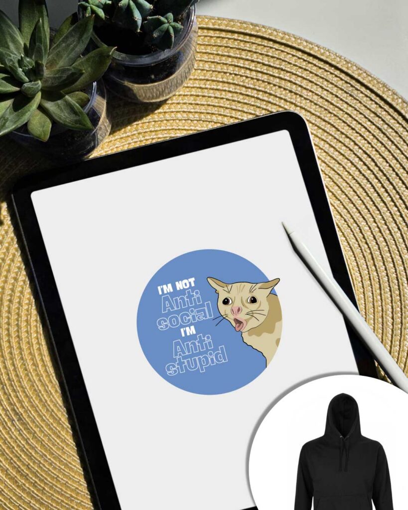 Hoodie I'm not antisocial