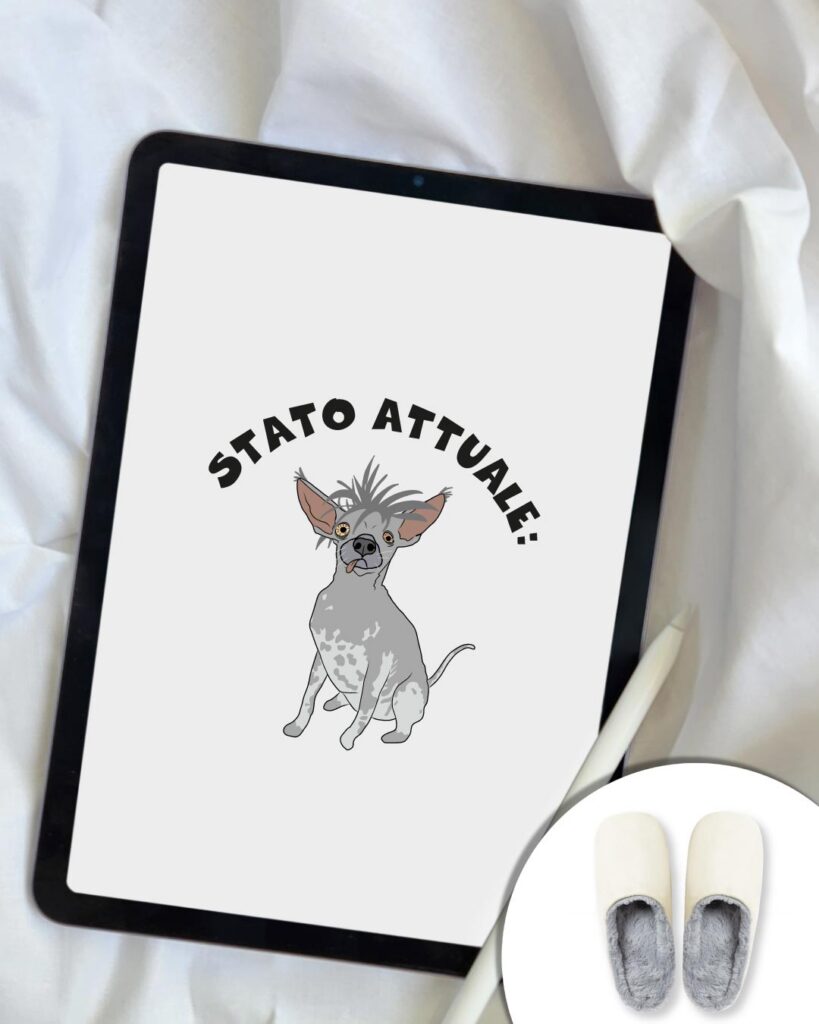 Pantofole Stato Attuale